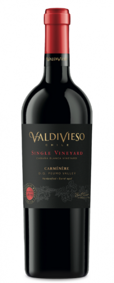 Valdivieso (5)